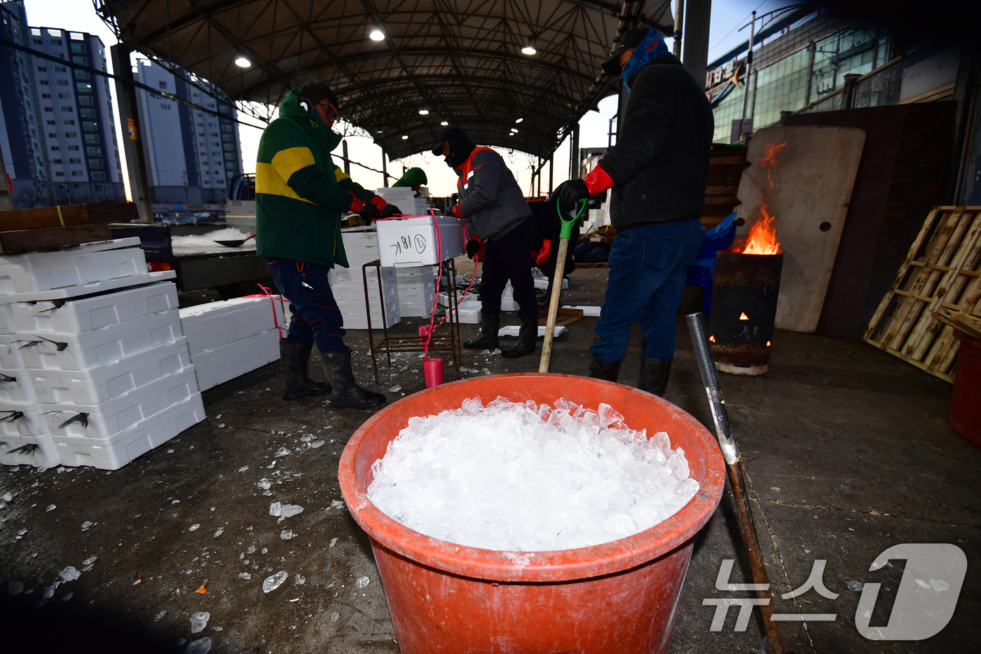 (포항=뉴스1) 최창호 기자 = 22일 경북 포항시 죽도어시장 위판장에서 상인들이 모닥불 옆에서 생선 상자에 넣을 얼음을 준비하고 있다.이날 포항지역 아침 최저기온은 영하 9도 체 …