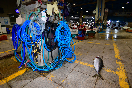 최저 -18도·서울 -11도 꽁꽁 언 주말…24일 오전까지 최대 5㎝ 눈