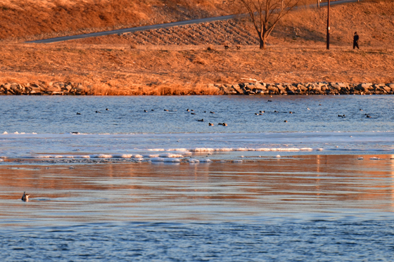 [오늘의 날씨] 대구·경북(23일,금)…한파·건조 지속, 낮 –1~5도