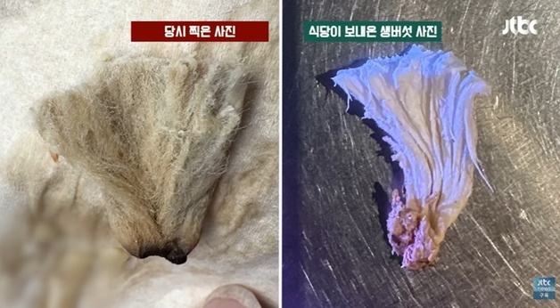 버섯 파스타 안에 '이물질'…"담배꽁초 아냐" 손님 맞고소한 제주 식당