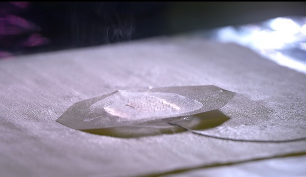 통증 없이 약물 흡수…벌침 모사 나노섬유 마이크로니들 개발