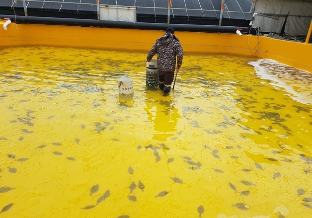 전남해양수산과학원, 양식어가 배합사료 구매자금 지원