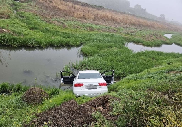 보험사기 위해 외제 차량 고의로 '풍덩'