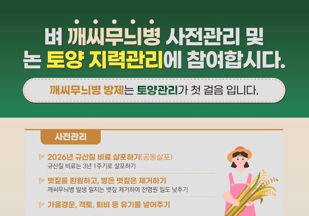농진청 "벼 깨씨무늬병, 휴지기 논 토양관리·규산질 비료로 예방해야"
