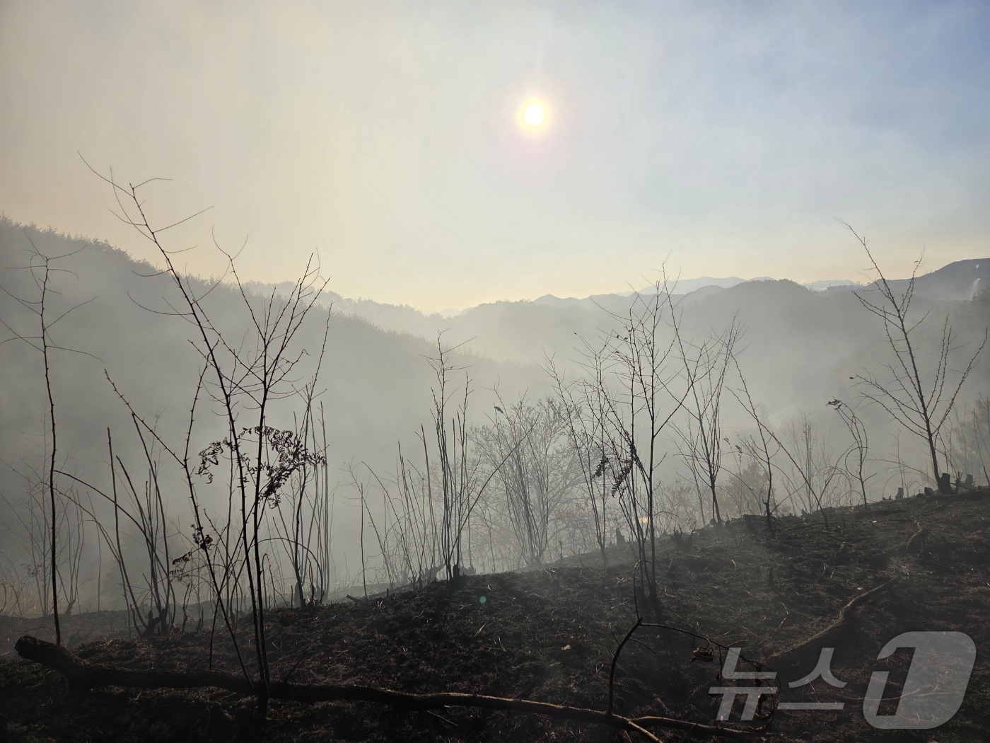 (광양=뉴스1) 김성준 기자 = 22일 오전 10시 30분 전남 광양시 옥곡면 백운산 자락에서 발생한 산불 주불 진화가 완료됐다. 불이 꺼진 백운산 자락의 모습. (광양시 제공. …