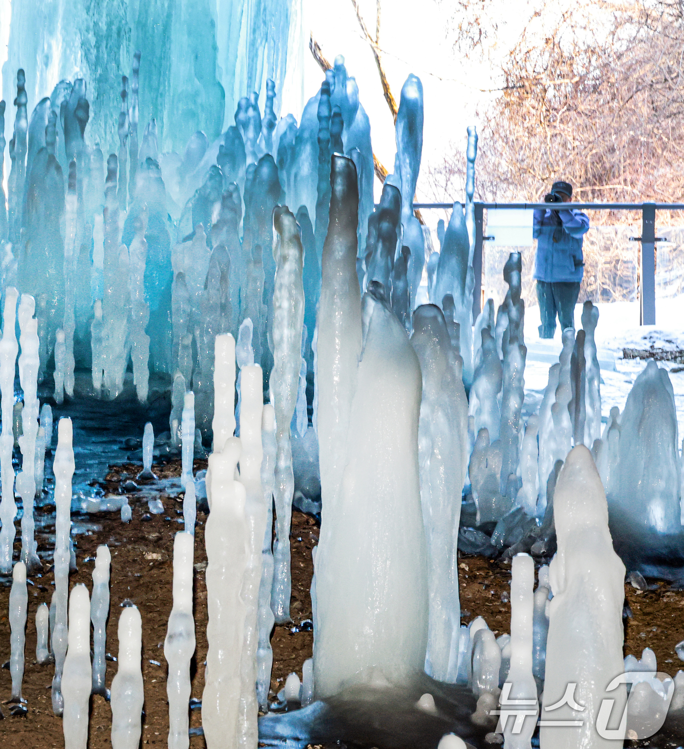 (연천=뉴스1) = 연일 영하권의 매서운 한파가 이어진 22일 경기 연천군 신서면 경원선 폐터널을 방문한 관광객이 역고드름을 촬영하고 있다. 2026.1.22/뉴스1