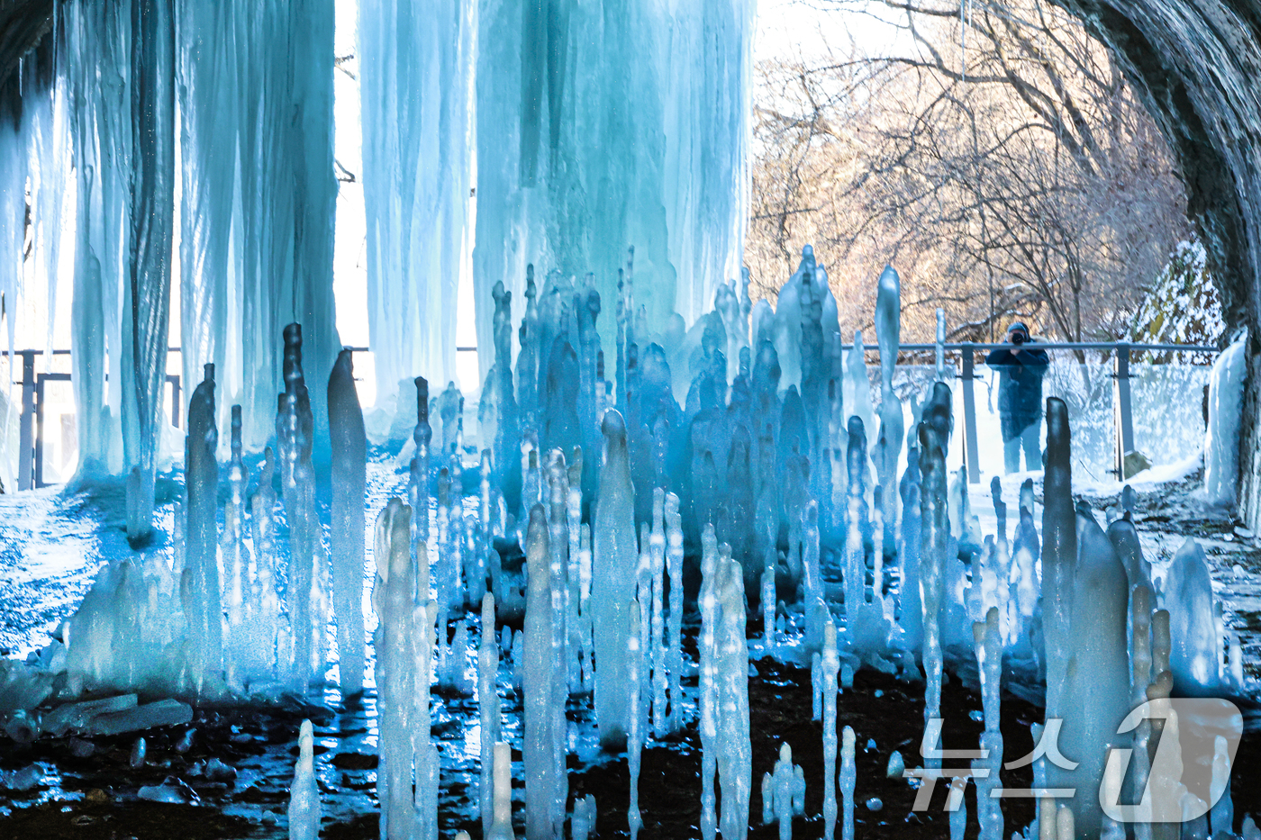 (연천=뉴스1) = 연일 영하권의 매서운 한파가 이어진 22일 경기 연천군 신서면 경원선 폐터널을 방문한 관광객이 역고드름을 촬영하고 있다. 2026.1.22/뉴스1