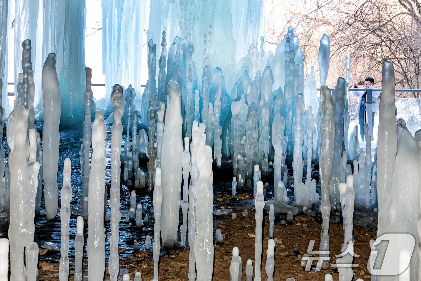 (연천=뉴스1) = 연일 영하권의 매서운 한파가 이어진 22일 경기 연천군 신서면 경원선 폐터널을 방문한 관광객이 역고드름을 촬영하고 있다. 2026.1.22/뉴스1