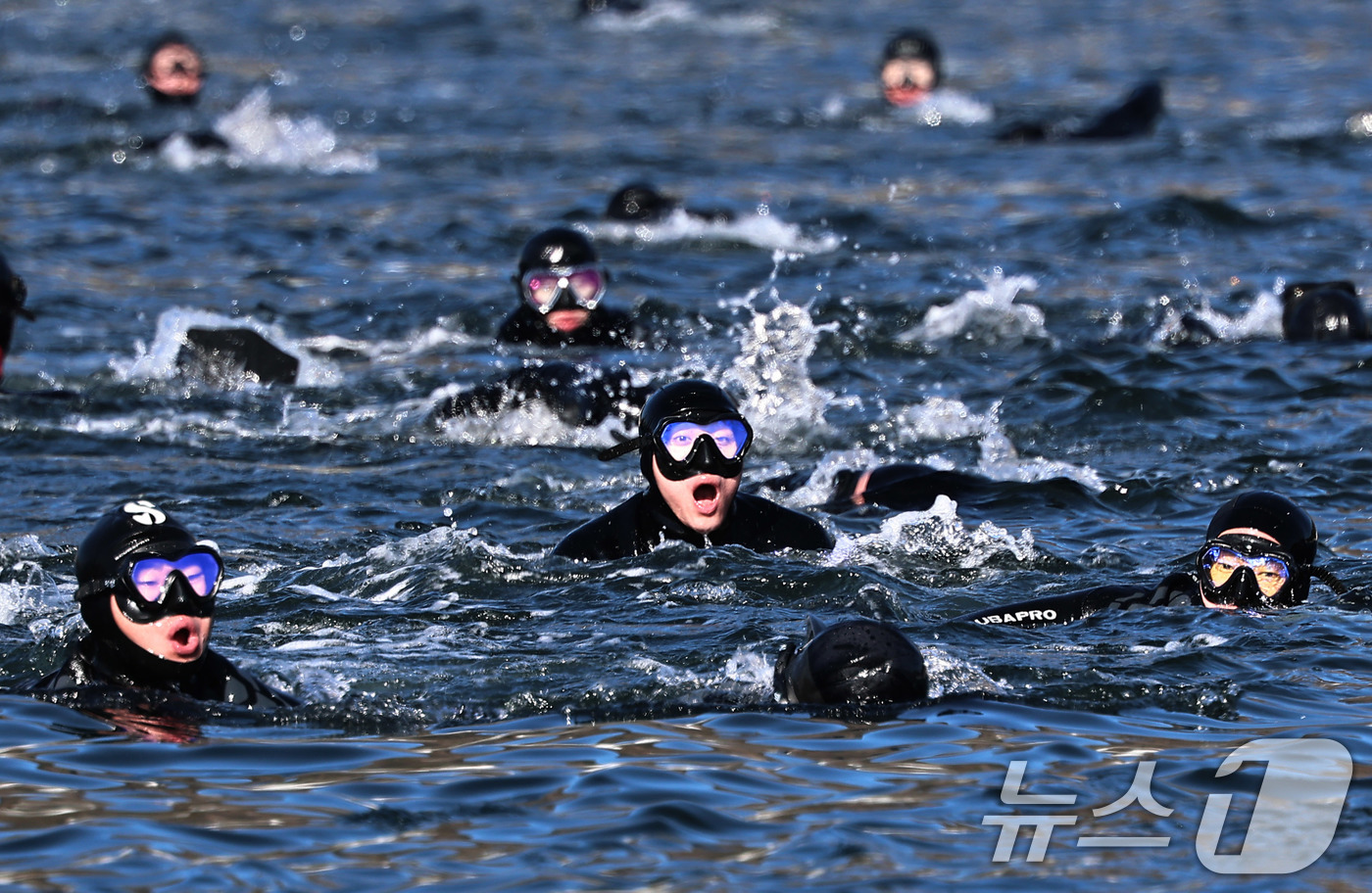 (창원=뉴스1) 윤일지 기자 = 전국적으로 맹추위가 기승을 부린 22일 경남 창원 진해 군항에서 열린 혹한기 내한훈련에서 해군 심해잠수사(SSU)들이 오리발 수영을 하고 있다. ( …