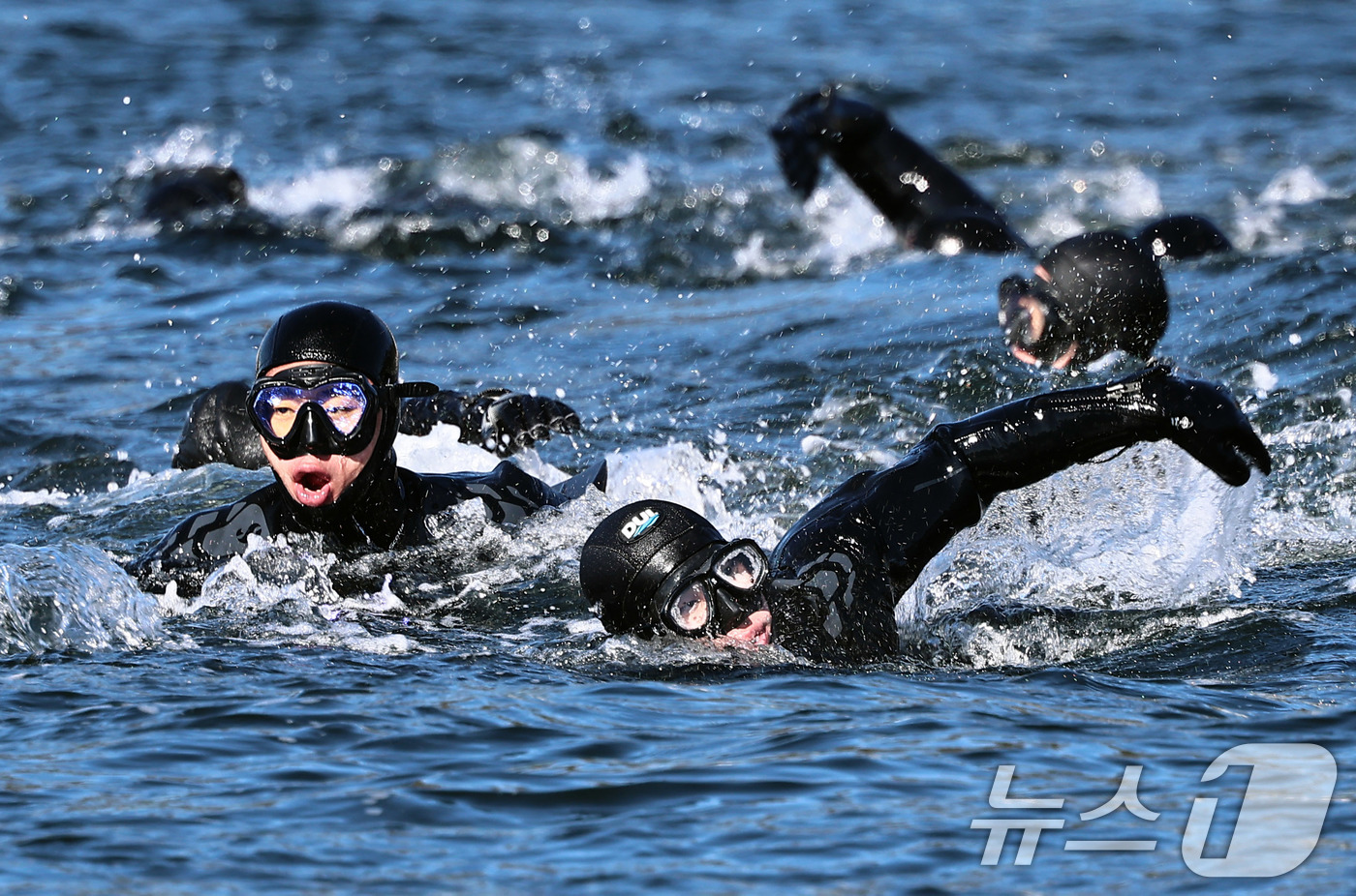 (창원=뉴스1) 윤일지 기자 = 전국적으로 맹추위가 기승을 부린 22일 경남 창원 진해 군항에서 열린 혹한기 내한훈련에서 해군 심해잠수사(SSU)들이 오리발 수영을 하고 있다. ( …