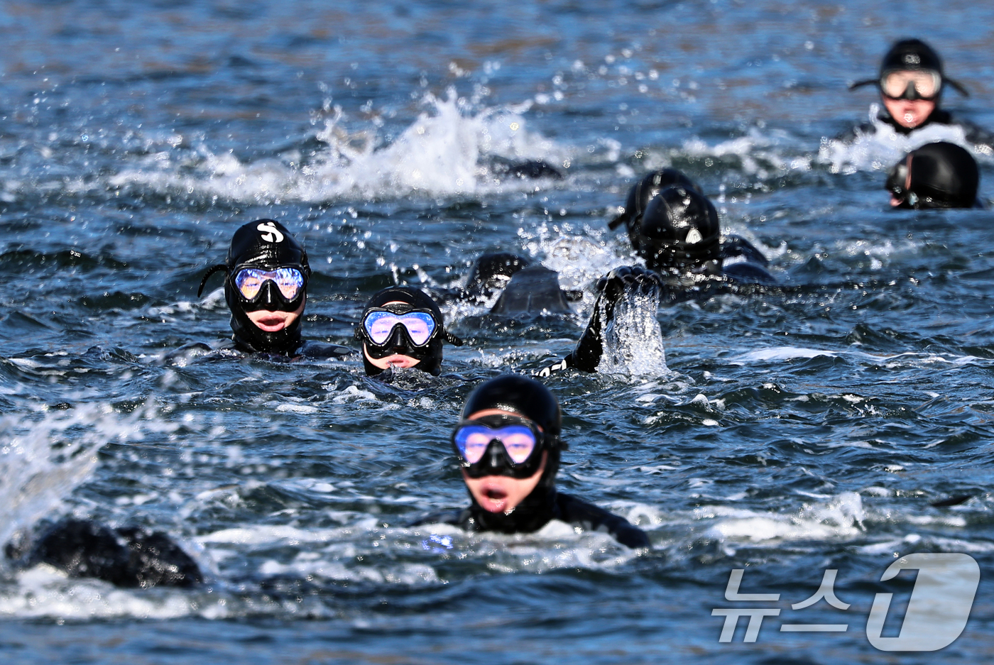 (창원=뉴스1) 윤일지 기자 = 전국적으로 맹추위가 기승을 부린 22일 경남 창원 진해 군항에서 열린 혹한기 내한훈련에서 해군 심해잠수사(SSU)들이 오리발 수영을 하고 있다. ( …