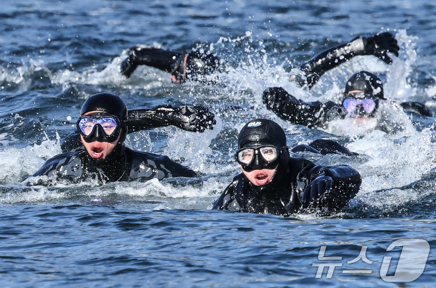 (창원=뉴스1) 윤일지 기자 = 전국적으로 맹추위가 기승을 부린 22일 경남 창원 진해 군항에서 열린 혹한기 내한훈련에서 해군 심해잠수사(SSU)들이 오리발 수영을 하고 있다. ( …
