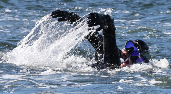 한겨울 오리발 수영