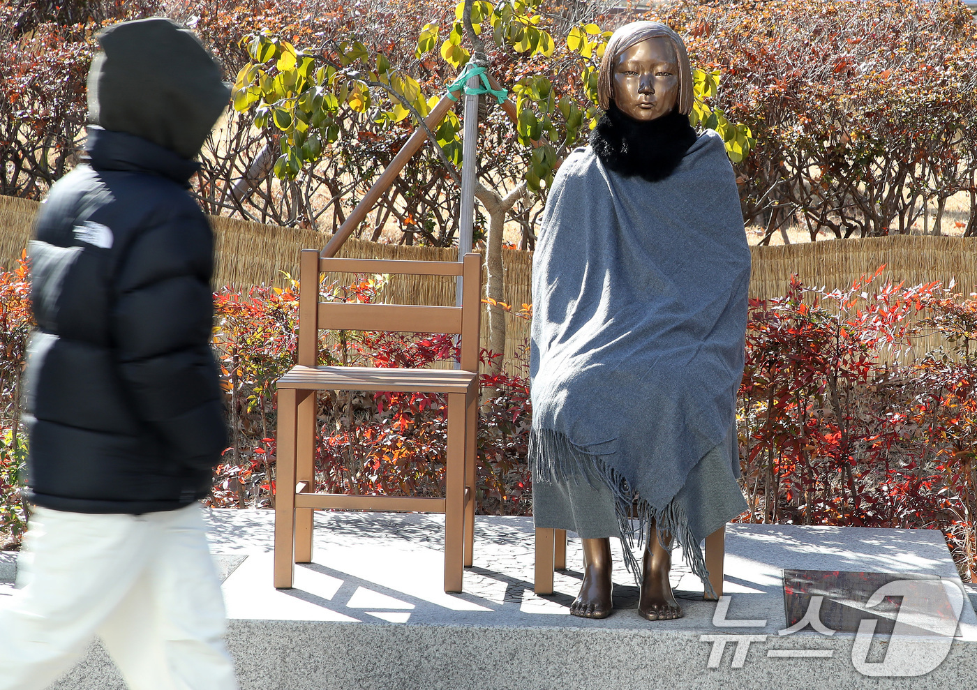 (대구=뉴스1) 공정식 기자 = 올겨울 최강 한파가 몰아친 22일 대구 중구 2.28기념중앙공원 앞 평화의 소녀상에 누군가 망토와 목도리가 둘러놓았다. 2026.1.22/뉴스1