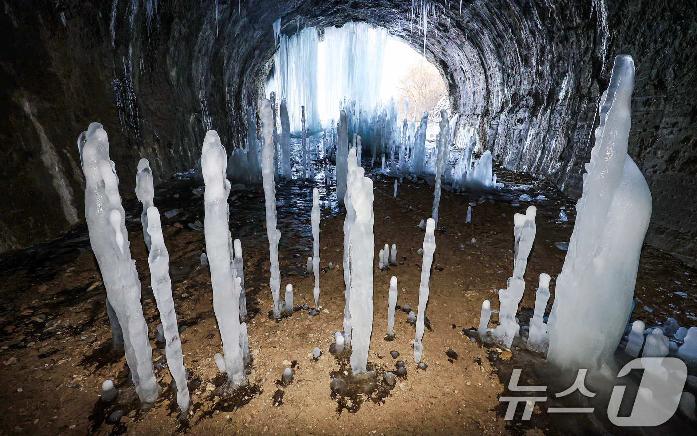 (연천=뉴스1) 이호윤 기자 = 연일 영하권의 매서운 한파가 이어진 22일 경기 연천군 신서면 경원선 폐터널에 역고드름이 솟아올라 장관을 펼치고 있다. 2026.1.22/뉴스1