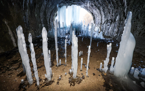 땅에서 솟아오른 역고드름···'한파가 만든 장관'