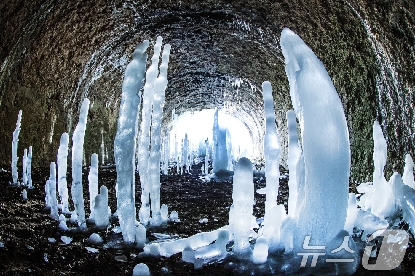본문 이미지 - 연일 영하권의 매서운 한파가 이어진 지난 22일 경기 연천군 신서면 경원선 폐터널에 역고드름이 솟아올라 장관을 펼치고 있다. 2026.1.22/뉴스1 ⓒ News1 이호윤 기자