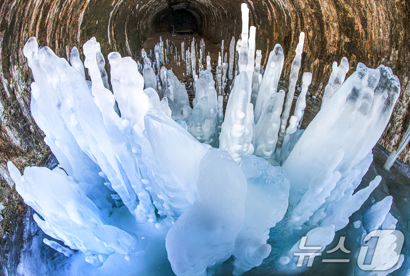 (연천=뉴스1) 이호윤 기자 = 연일 영하권의 매서운 한파가 이어진 22일 경기 연천군 신서면 경원선 폐터널에 역고드름이 솟아올라 장관을 펼치고 있다. 2026.1.22/뉴스1