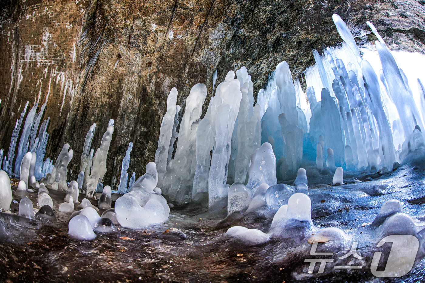 (연천=뉴스1) 이호윤 기자 = 연일 영하권의 매서운 한파가 이어진 22일 경기 연천군 신서면 경원선 폐터널에 역고드름이 솟아올라 장관을 펼치고 있다. 2026.1.22/뉴스1