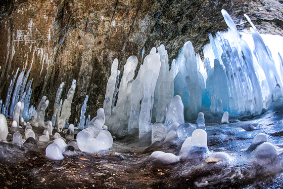 연일 한파 속 엿보는 역고드름 장관
