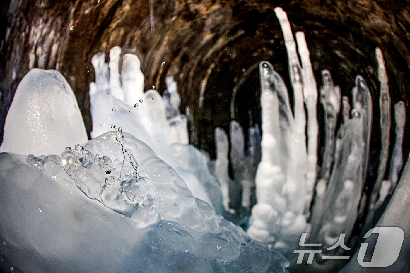 (연천=뉴스1) 이호윤 기자 = 연일 영하권의 매서운 한파가 이어진 22일 경기 연천군 신서면 경원선 폐터널 천장에서 떨어진 물방울이 역고드름을 만들고 있다. 2026.1.22/뉴 …