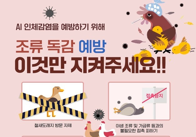 곡성군, 고병원성 조류인플루엔자 확산 차단 당부