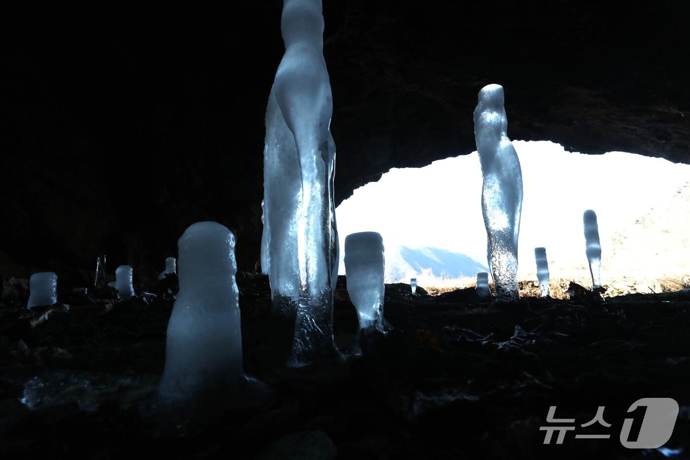 본문 이미지 - 충북 제천시 덕산면 수산리 보덕암 인근 보덕굴 '거꾸로 자라는 고드름'. 2026.1.22 ⓒNews1 /뉴스1 손도언 기자 