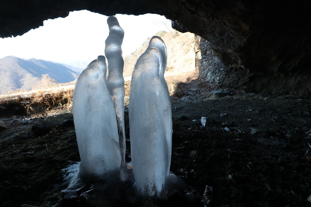 '겨울의 정수'…땅 위서 솟는 역고드름