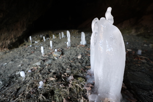 땅에서 자라는 고드름