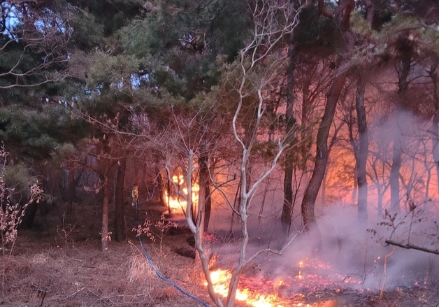 논산 연산면 관동리서 산불…54분 만에 진화