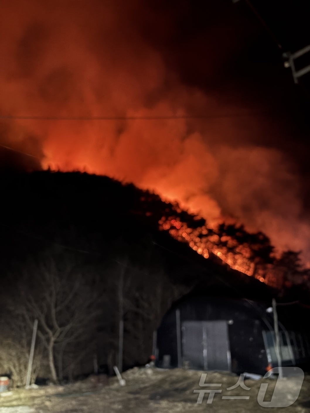 (곡성=뉴스1) 전원 기자 = 22일 오후 8시 58분쯤 전남 곡성군 오산면 선세리의 한 주택에서 불이 나 산불로 확산된 가운데 소방당국이 진화작업을 벌이고 있다.(전남소방 제공. …