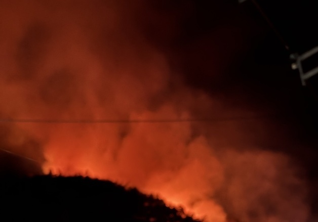 곡성 야산 화재