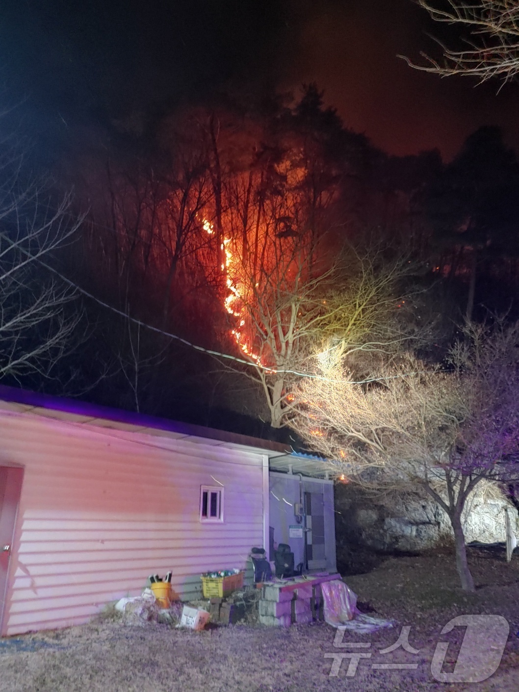 (곡성=뉴스1) 전원 기자 = 22일 오후 8시 58분쯤 전남 곡성군 오산면 선세리의 한 주택에서 불이 나 산불로 확산된 가운데 소방당국이 진화작업을 벌이고 있다.(전남소방 제공. …