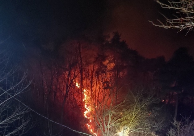 곡성 야산 화재