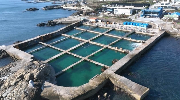양준혁, 방어 1만마리 가득 3000평 양식장 공개 "25년 걸려"