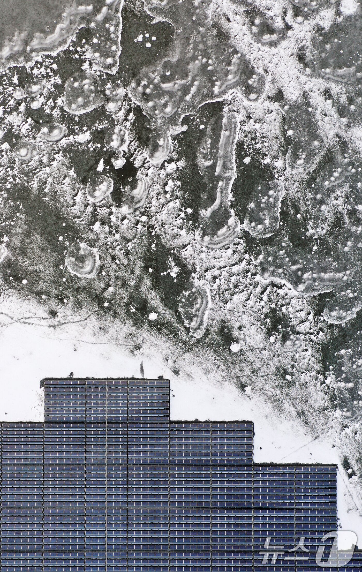 본문 이미지 - 연일 북극 한파가 지속되고 있는 23일 경기 화성시 멱우지에 설치된 수상태양광발전소 주변이 얼어 있다. 2026.1.23/뉴스1 ⓒ News1 김영운 기자