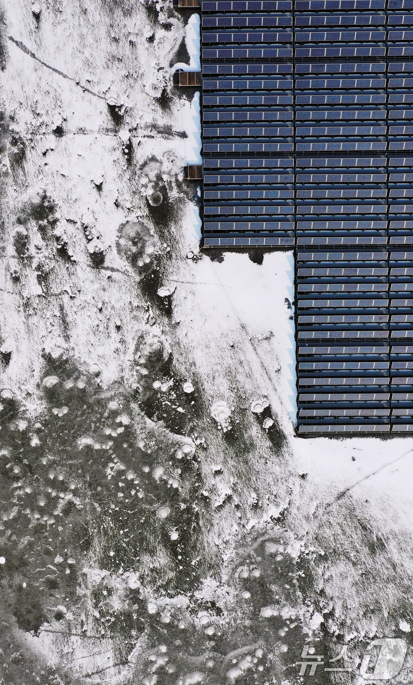 (화성=뉴스1) 김영운 기자 = 연일 북극 한파가 지속되고 있는 23일 경기 화성시 멱우지에 설치된 수상태양광발전소 주변이 얼어 있다. 2026.1.23/뉴스1