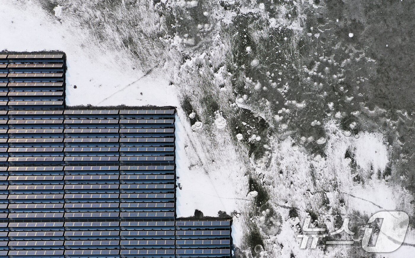 본문 이미지 - 연일 북극 한파가 지속되고 있는 23일 경기 화성시 멱우지에 설치된 수상태양광발전소 주변이 얼어 있다. 2026.1.23/뉴스1 ⓒ News1 김영운 기자
