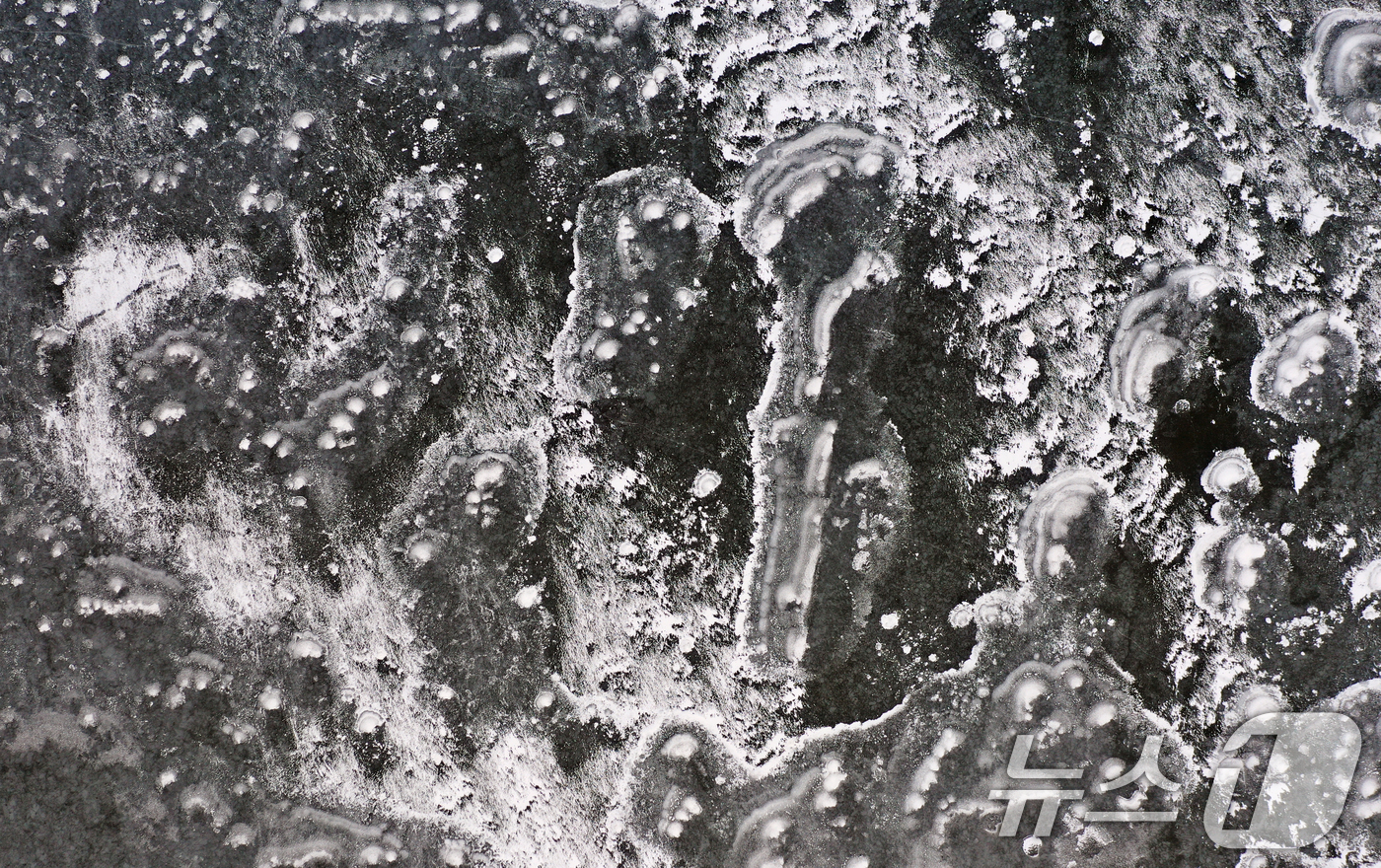 (화성=뉴스1) 김영운 기자 = 연일 북극 한파가 지속되고 있는 23일 경기 화성시 멱우지에 설치된 수상태양광발전소 주변이 얼어 있다. 2026.1.23/뉴스1