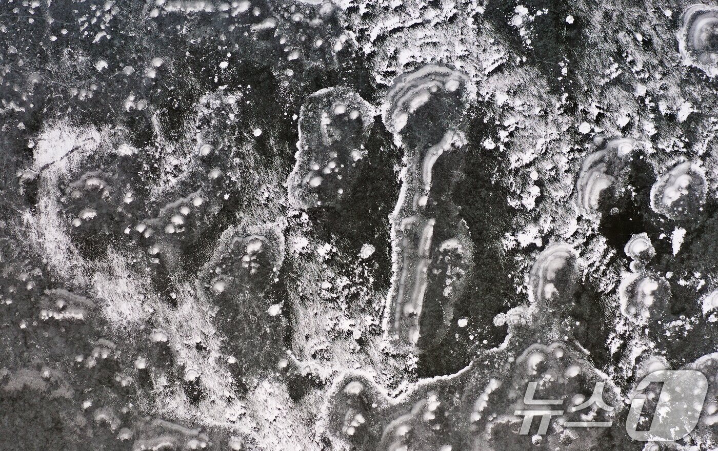 본문 이미지 - 연일 북극 한파가 지속되고 있는 23일 경기 화성시 멱우지에 설치된 수상태양광발전소 주변이 얼어 있다. 2026.1.23/뉴스1 ⓒ News1 김영운 기자