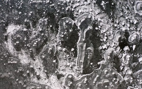 한파가 그린 그림