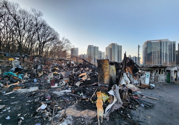 불 꺼지니 극한한파 몰아친 구룡마을…갈 곳 잃은 화재민들 발동동
