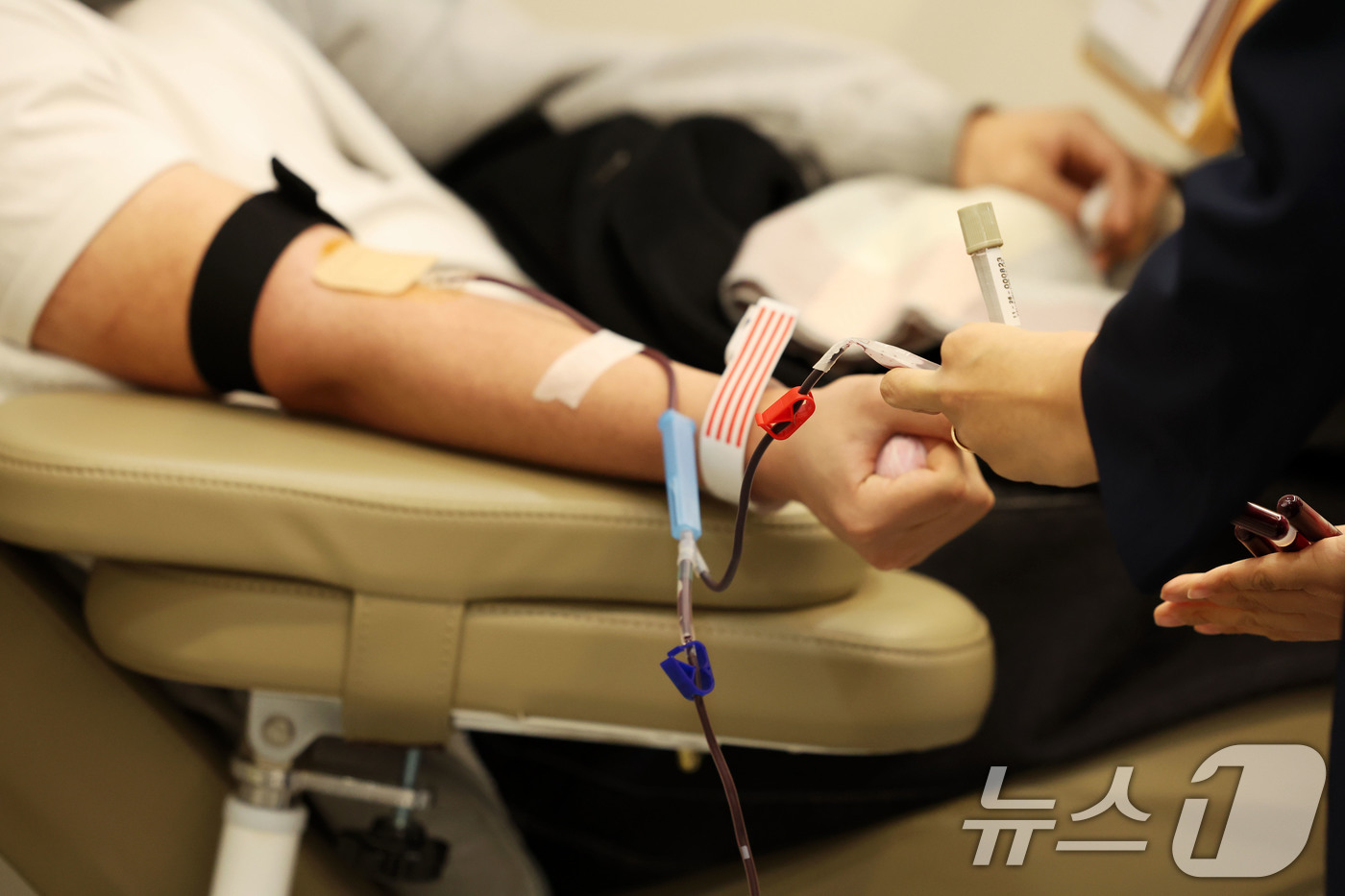 (광주=뉴스1) 이승현 기자 = 23일 오전 광주 동구 헌혈의집 충장로센터에서 시민들이 헌혈을 하고 있다. 대한적십자사 광주·전남혈액원은 이날 헌혈자들에게 두바이쫀득쿠키 증정 행사 …