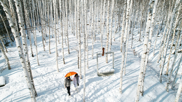 별·숲·고요함으로 '힐링'…아무 것도 안해도 괜찮은 이곳