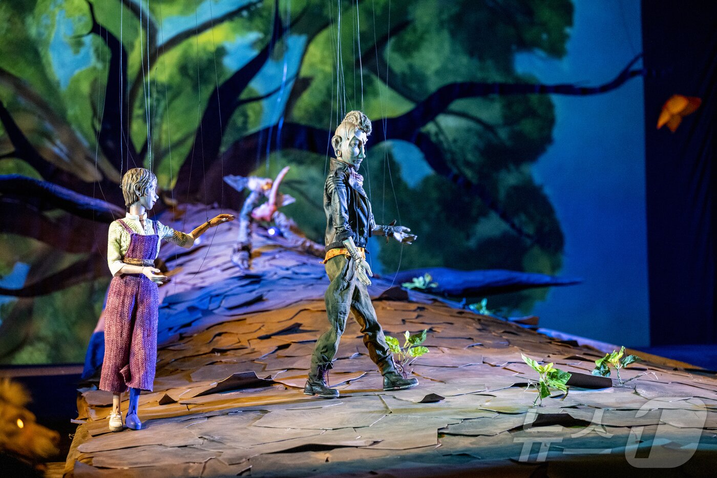 본문 이미지 - 모차르트 위크(Bernhard Mueller 제공)