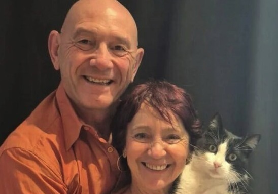 스페인 여행 중 잃어버린 고양이, 250㎞ 달려 프랑스 집 찾아왔다