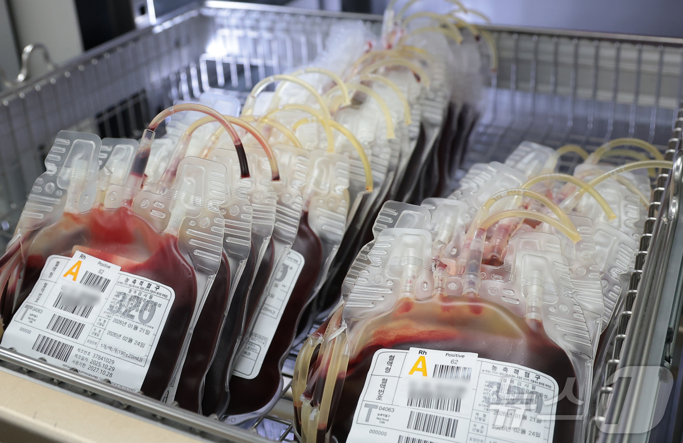 (서울=뉴스1) 권현진 기자 = 23일 오후 서울 노원구 대한접십자사 서울동부혈액원에 혈액이 보관함에 담겨 있다.이날 서울동부혈액원은 시민들의 헌혈 참여를 독려하기 위해 최근 품귀 …
