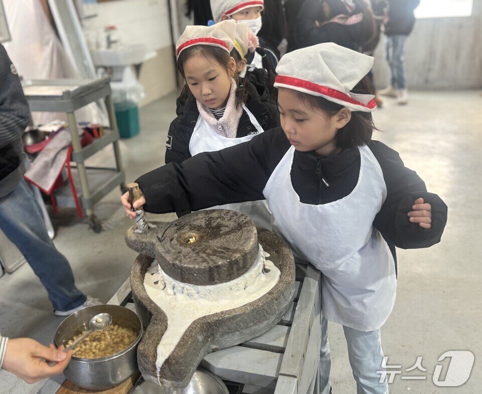 본문 이미지 - 서산초 학생들이 두부만들기 체험을 하고 있다.(전남도교육청 제공, 재판매 및 DB 금지)/뉴스1 