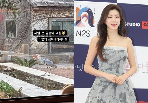 '제주 카페 사장' 박한별, 연못서 큰 금붕어 삼킨 왜가리에 충격 "다 먹히겠네"