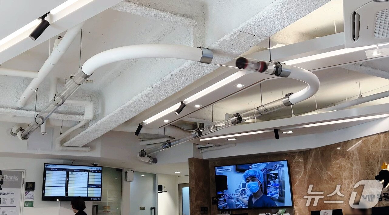 본문 이미지 - 대기실 천장에 설치된 기송관 시스템(VIP동물의료센터 제공) ⓒ 뉴스1